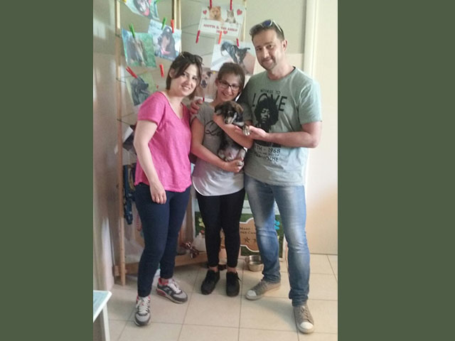 Sasuche ha trovato famiglia!
